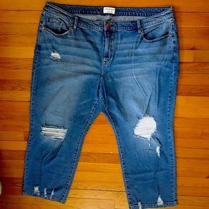 Lane Bryant never worn classic straight denim.